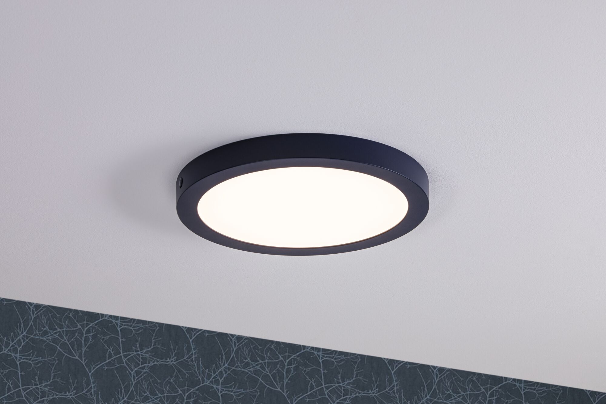 Runde Deckenleuchte mit schwarzem Metallrahmen und warmweißem LED-Licht für moderne Innenräume