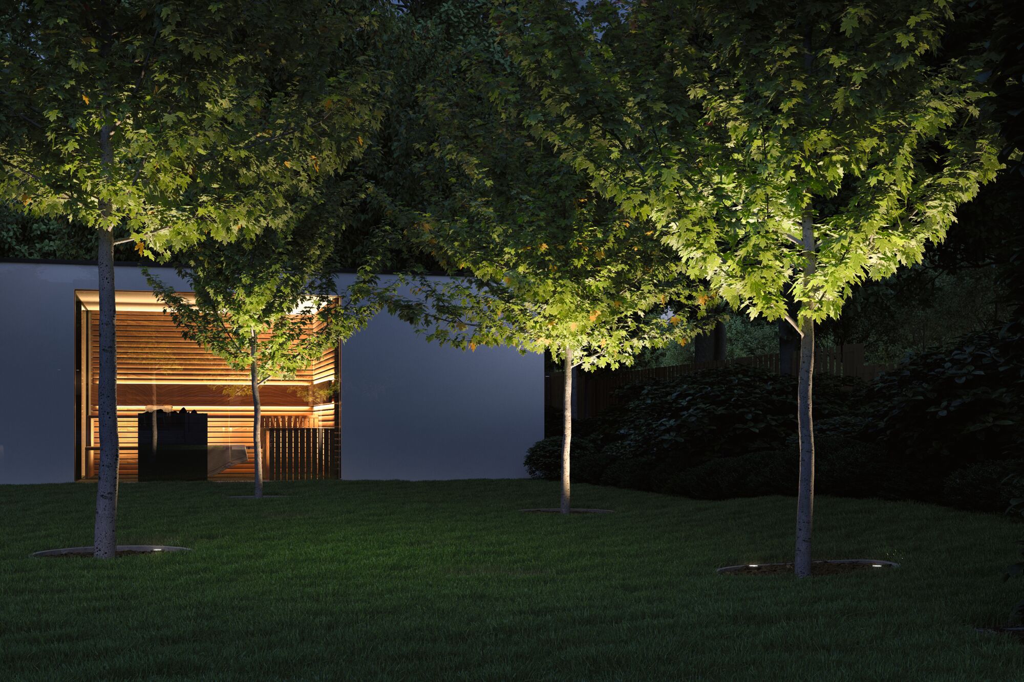 Moderne Gartenbeleuchtung mit Bodeneinbauleuchten, die Bäume in grünem Garten bei Nacht beleuchten.