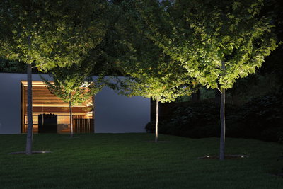 Moderne Gartenbeleuchtung mit Bodeneinbauleuchten, die Bäume in grünem Garten bei Nacht beleuchten.