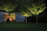 Modern garden lighting with recessed floor lights illuminating trees in green garden at night.
