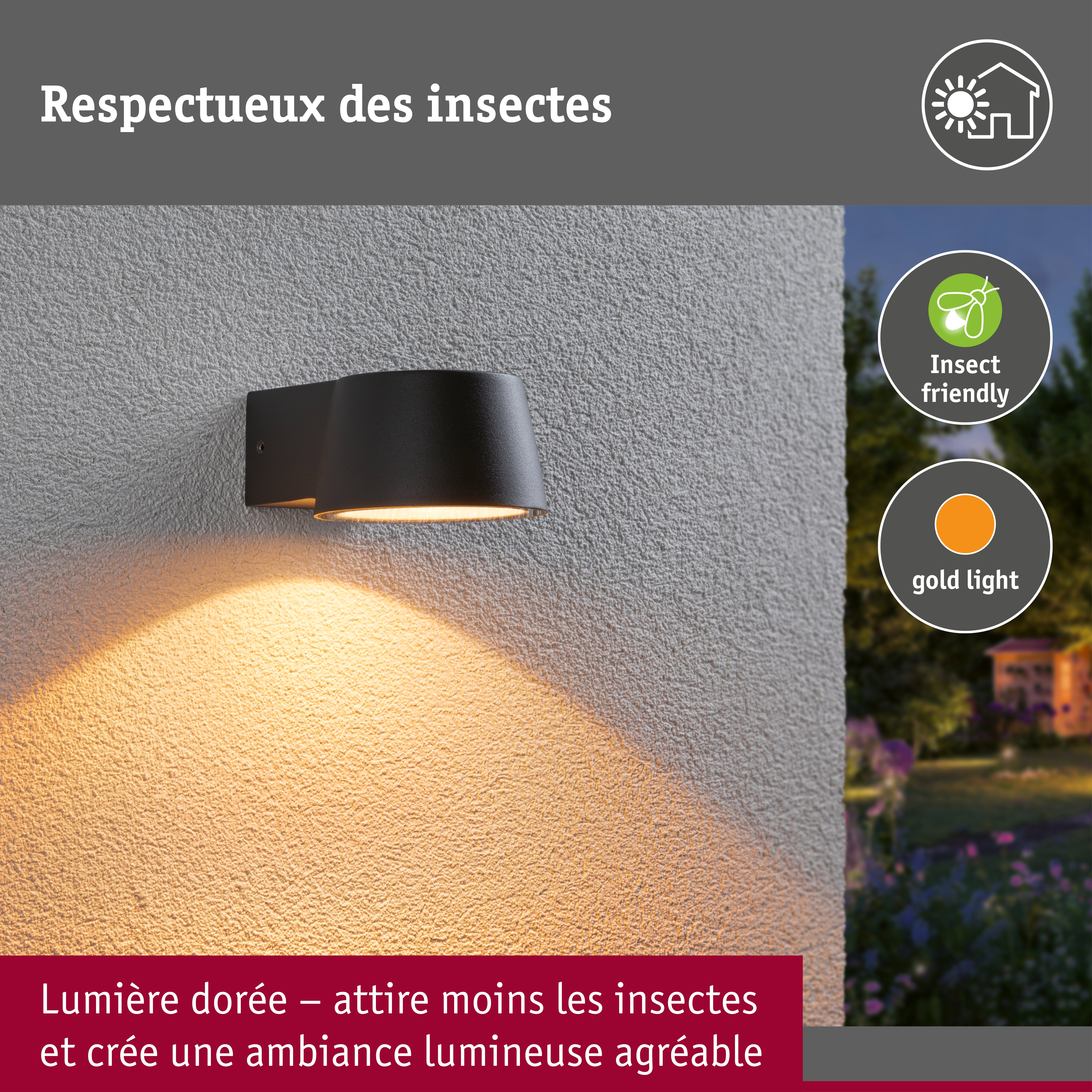 Applique d'extérieur LED Capea favorable aux insectes IP44 96x128mm 2200K 6W 550lm 230V 98° Anthracite Aluminium