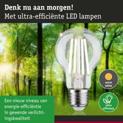 Transparante LED-lamp met warm wit licht en ultra-efficiënte energieverbruik tegen groene bosachtergrond
