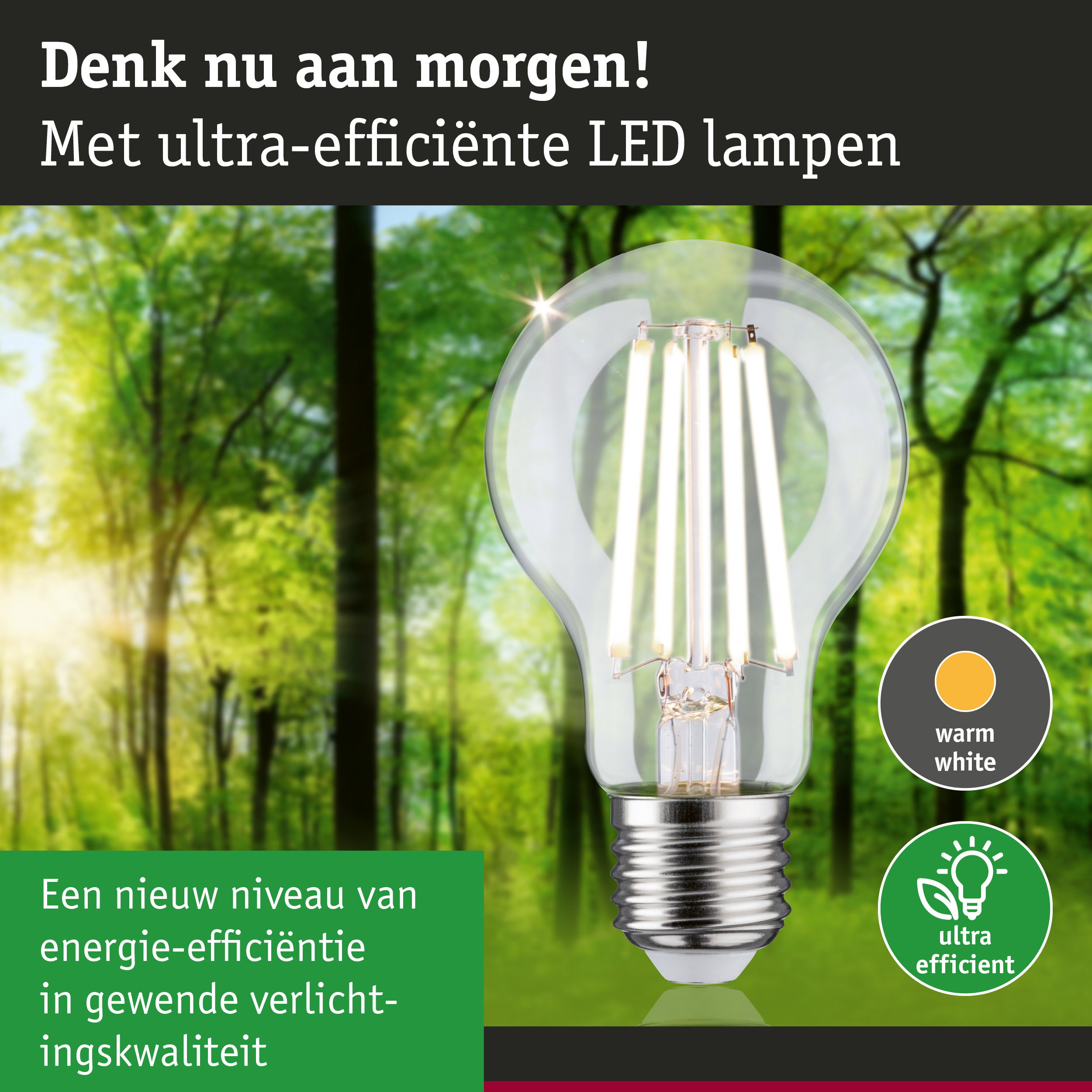 Transparante LED-lamp met warm wit licht en ultra-efficiënte energieverbruik tegen groene bosachtergrond