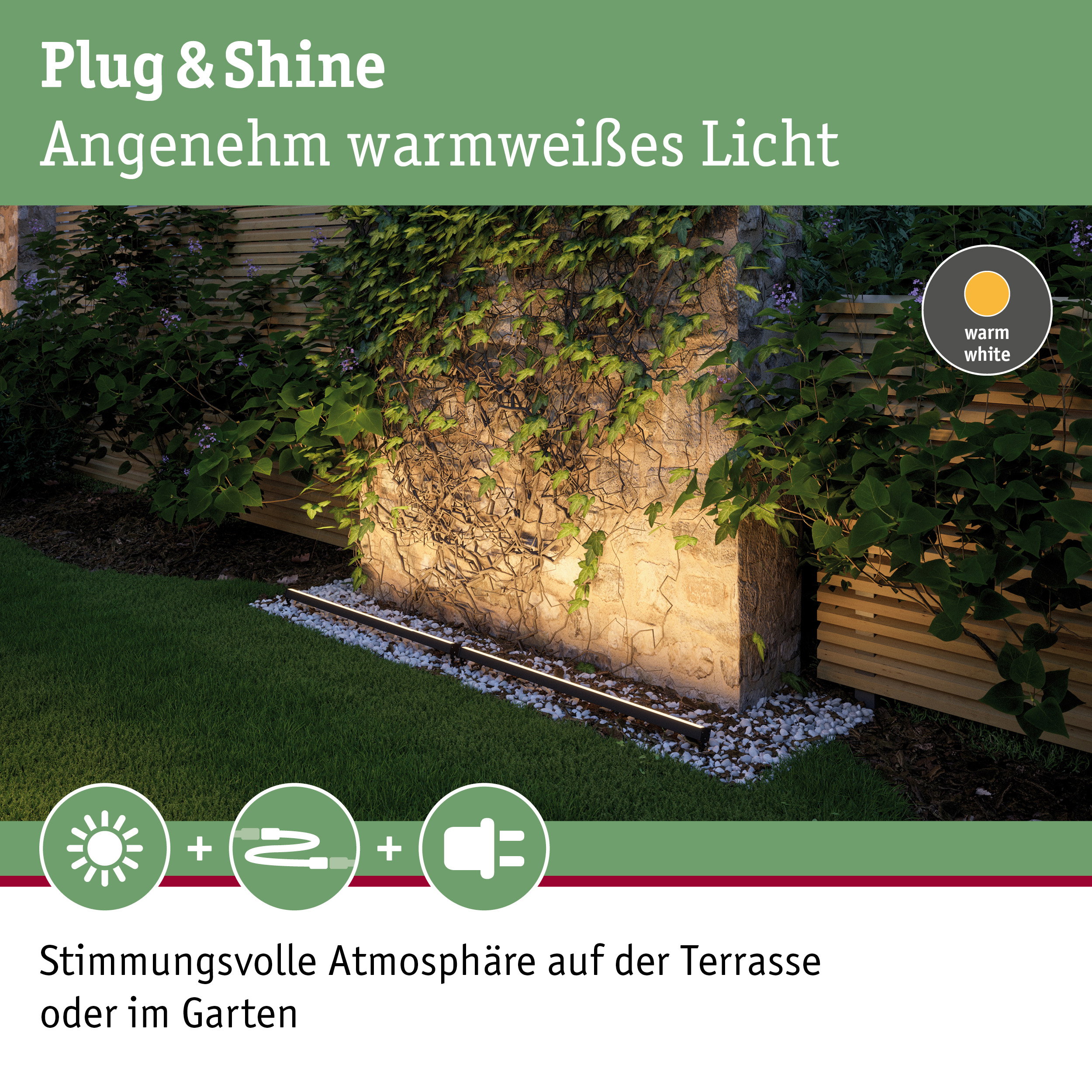 Warmweißes Plug & Shine LED-Licht beleuchtet Gartenmauer mit Efeu für stimmungsvolle Außenbeleuchtung