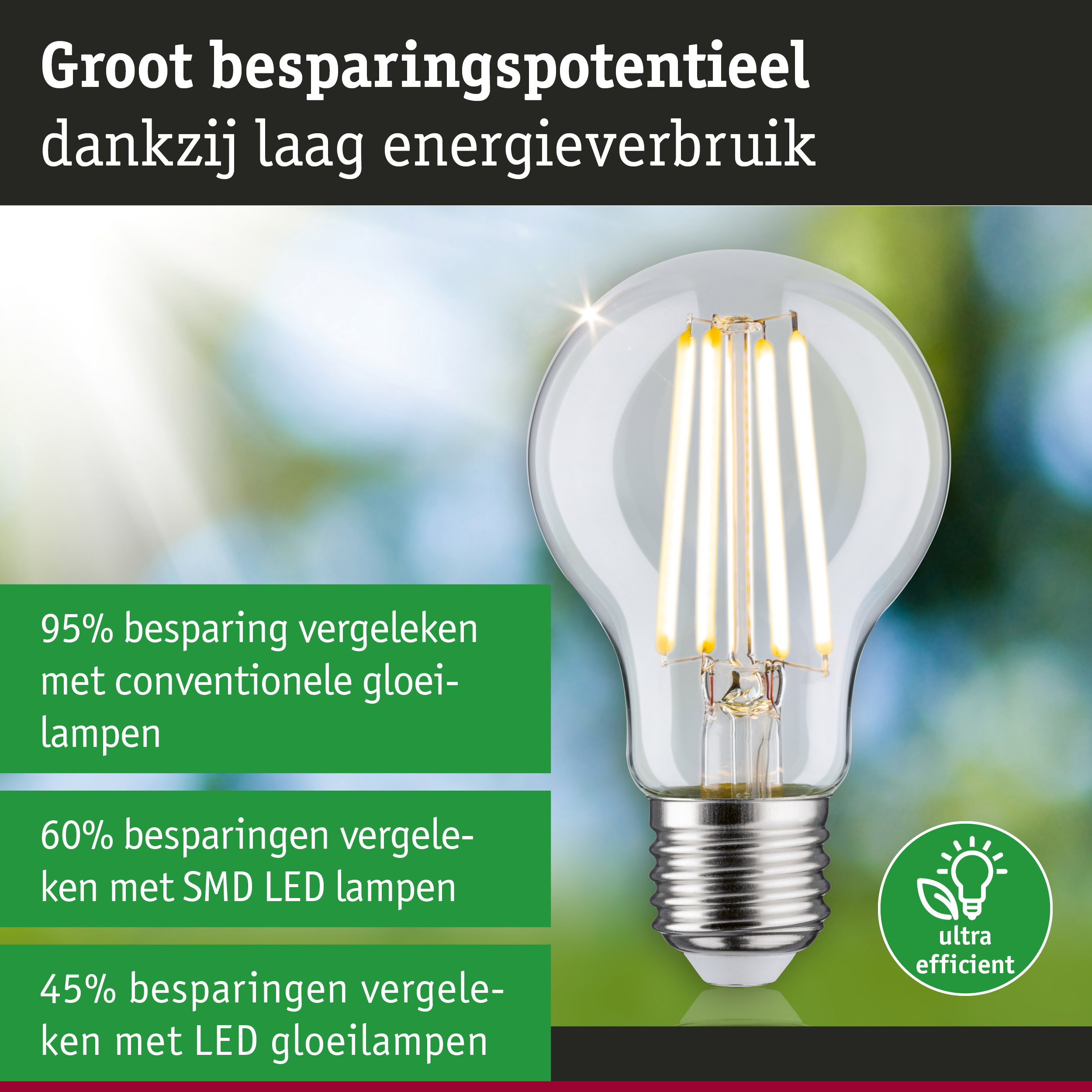 Energiezuinige LED-lamp met helder glas en zilveren fitting voor duurzame verlichting