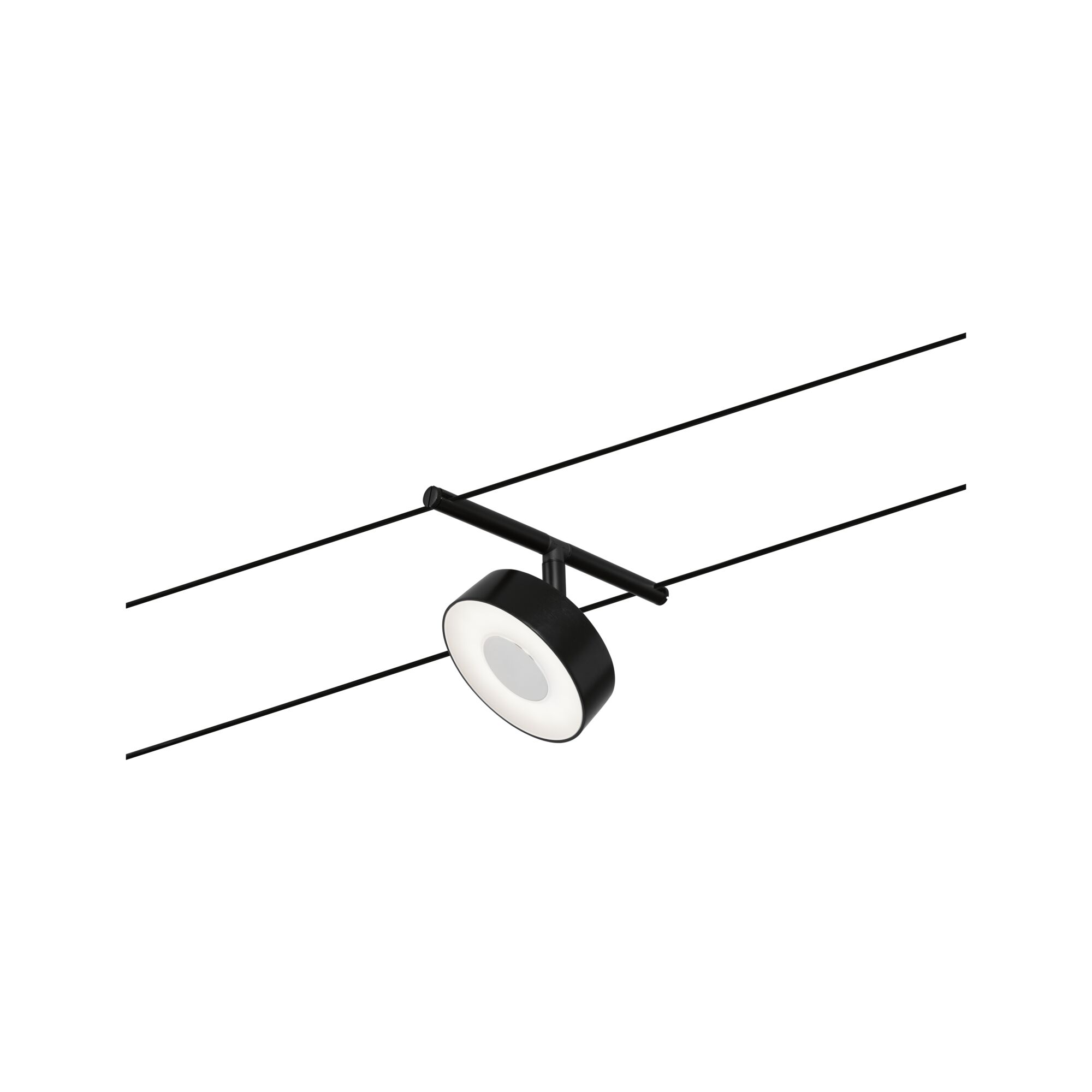 Black LED cable spotlight with round white diffuser for modern interior lighting