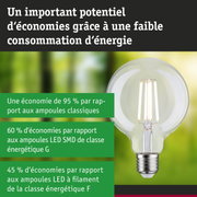 Ampoule LED à verre transparent et base argentée pour un éclairage efficace et économique