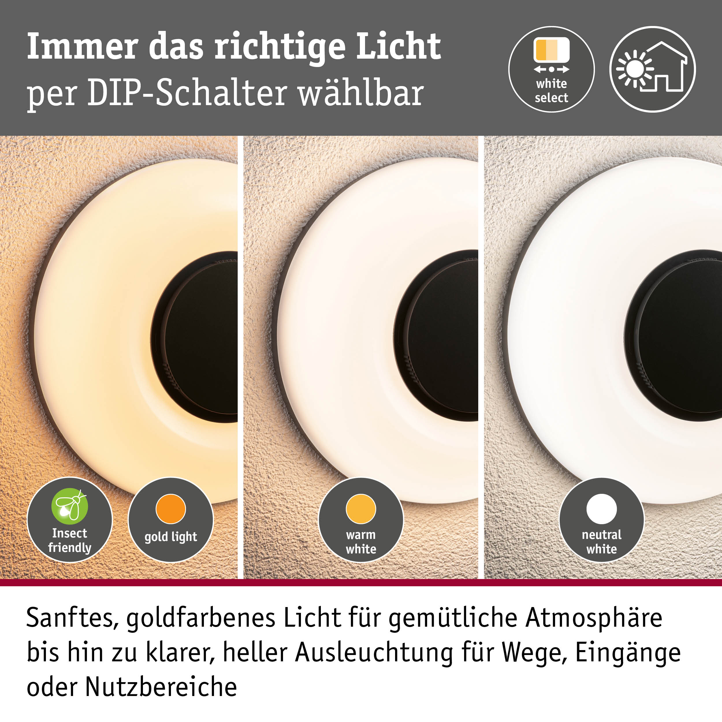LED Außenwandleuchte Aureva IP65 rund 220mm 2200 - 4000K 20,5W 1730lm 230V Anthrazit/Weiß Polycarbonat