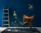 Coin lecture confortable avec fauteuil papillon en cuir marron, lampes pour plantes et tapis bleu pour éclairage intérieur.