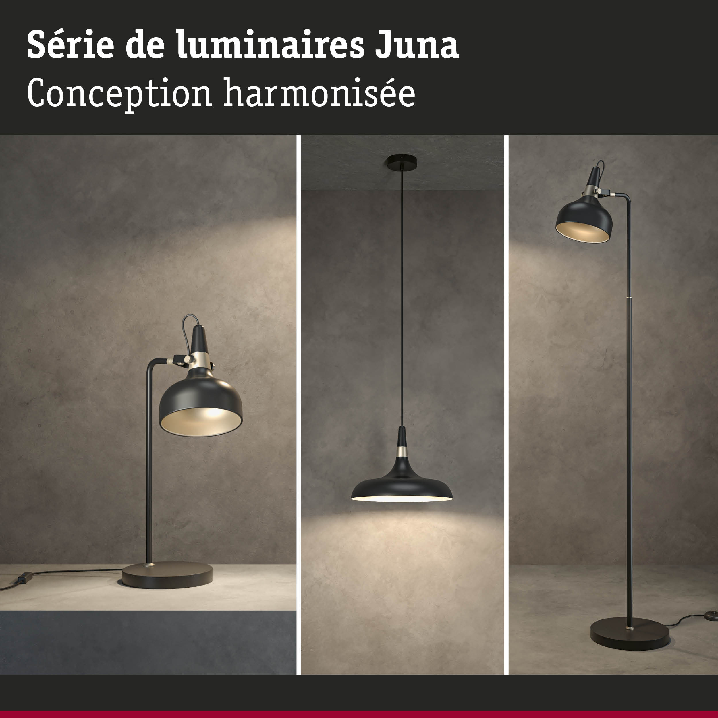 Série de luminaires Juna noirs en métal avec design harmonieux pour éclairage intérieur élégant