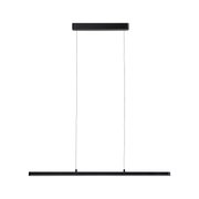 Zwarte metalen LED-hanglamp met slank ontwerp voor moderne binnenverlichting