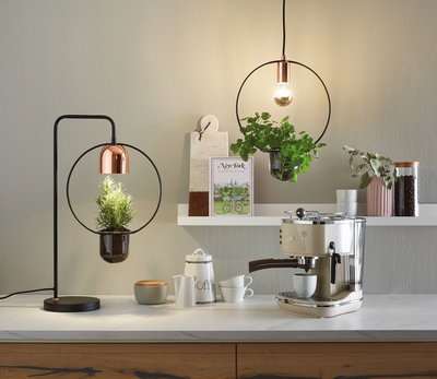 Modern plant lights with black metal frame and copper details illuminating kitchen herbs and countertop items.