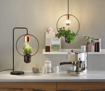 Lampes pour plantes modernes avec cadre en métal noir et détails cuivrés éclairant des herbes en cuisine.