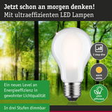 Energiesparende LED-Lampe mit warmweißem Licht und dreistufiger Dimmfunktion vor Waldhintergrund