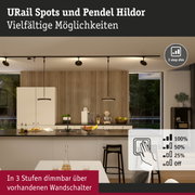 Moderne schwarze URail Spots und Pendel Hildor an Decke in Küche mit Holzpaneelen und dimmbarer Beleuchtung