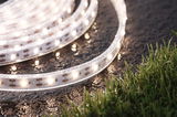 Waterproof LED strip light with warm white LEDs on wet surface near green grass for outdoor use