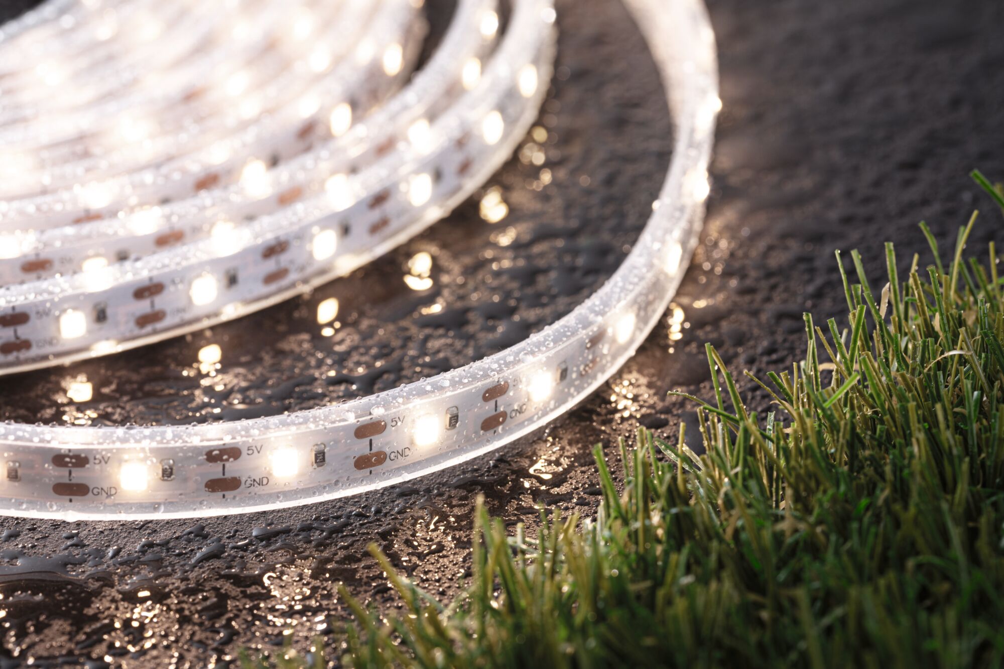 Waterproof LED strip light with warm white LEDs on wet surface near green grass for outdoor use