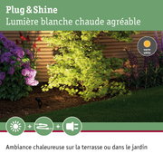 Jardin avec érable vert et fleurs violettes éclairé par lumière LED Plug & Shine blanc chaud