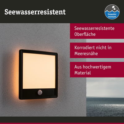 Seewasserresistente Außenwandleuchte mit schwarzem Rahmen und warmweißem Licht für Küstenbereiche
