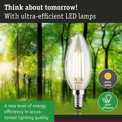 Clear candle-shaped LED bulb with warm white light and ultra-efficient energy use for eco-friendly lighting