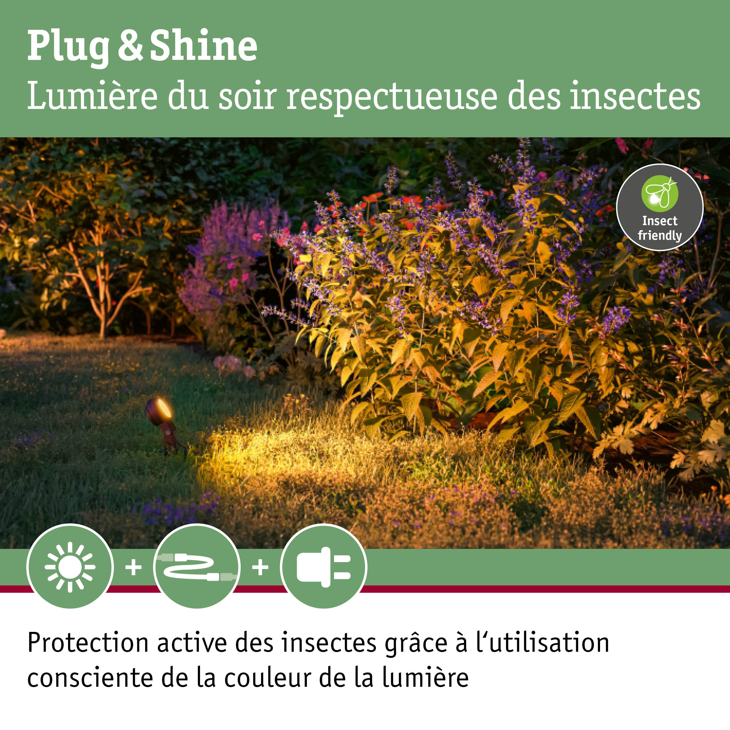 Éclairage de jardin avec lumière blanche chaude respectueuse des insectes pour un éclairage extérieur durable