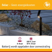 Zwarte solar LED-tuinfakkel omgeven door stenen en planten, energiezuinige buitenverlichting