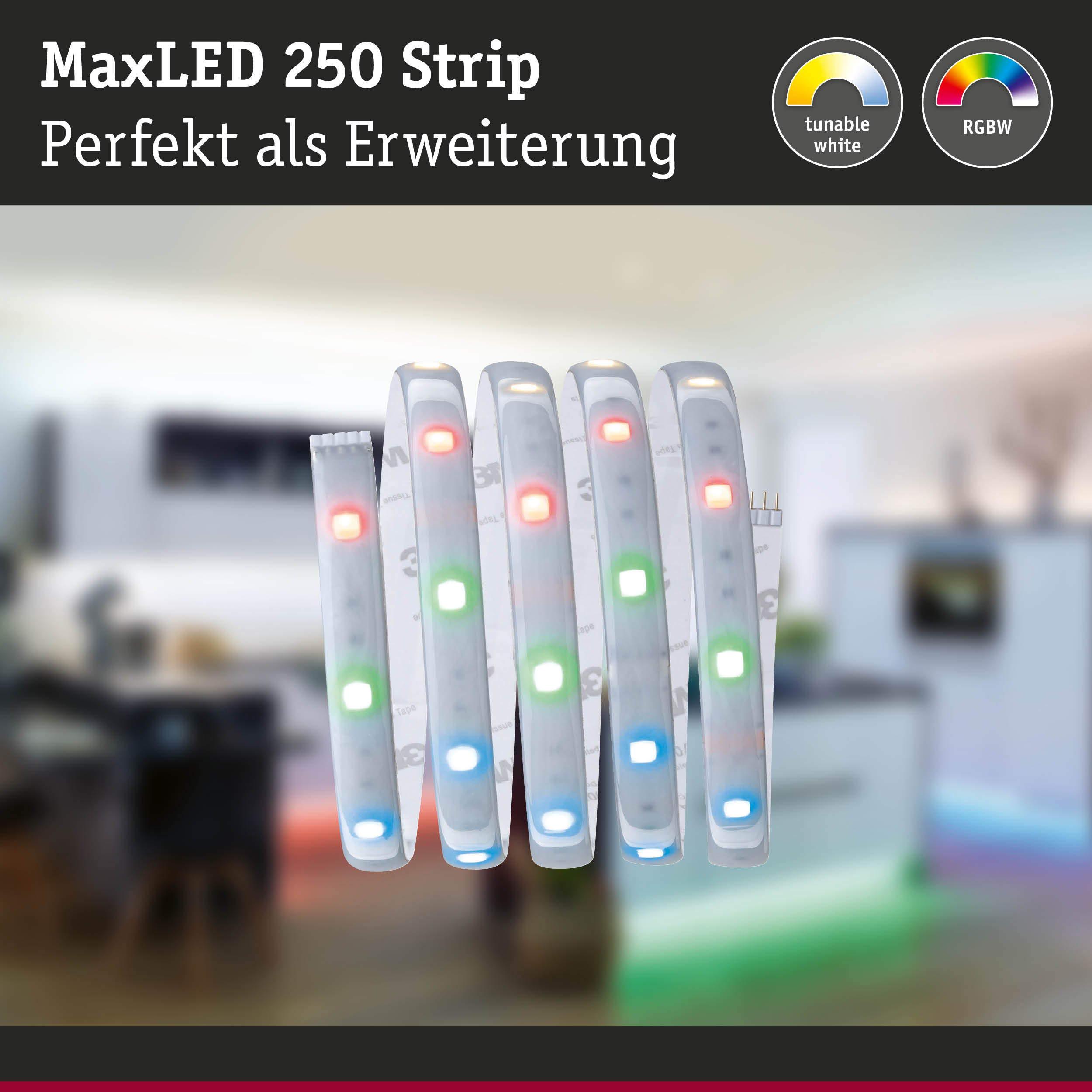 MaxLED 250 RGBW LED-Lichtstreifen mit einstellbarem Weißton, flexible Erweiterung für Wohnraumbeleuchtung