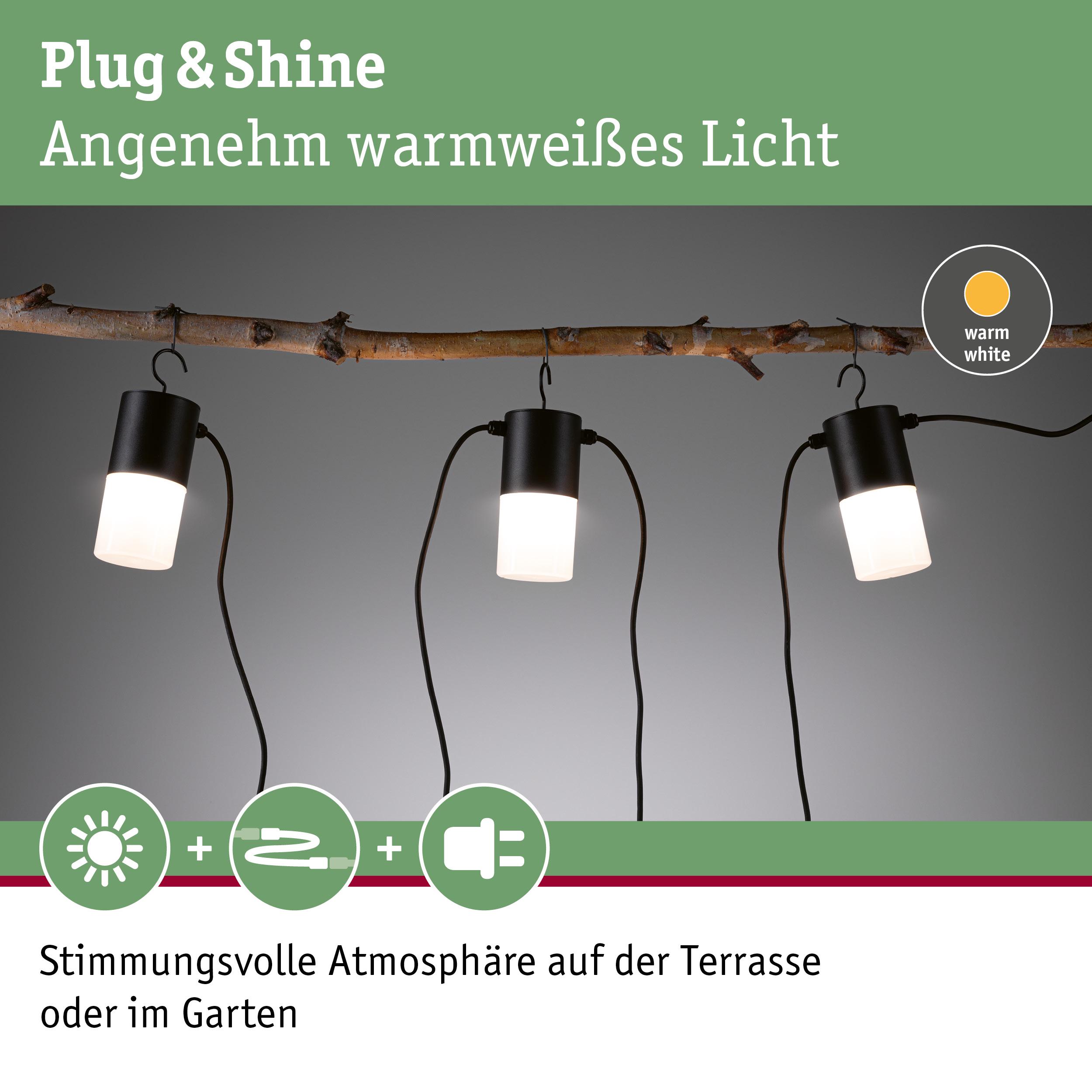 Drei schwarze Plug & Shine LED-Leuchten mit warmweißem Licht an Ast für Garten- und Terrassenbeleuchtung
