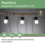 Drei schwarze Plug & Shine LED-Leuchten mit warmweißem Licht an Ast für Garten- und Terrassenbeleuchtung