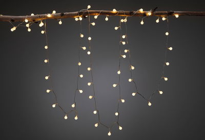 Guirlande LED blanc chaud avec petites ampoules suspendues à une branche marron pour déco chaleureuse.