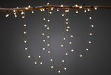 Warm white LED string lights with small bulbs hanging from a brown branch for cozy decoration.