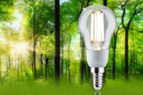 LED-Glühbirne mit transparentem Glas und weißem Sockel vor grünem Waldhintergrund für energiesparende Beleuchtung