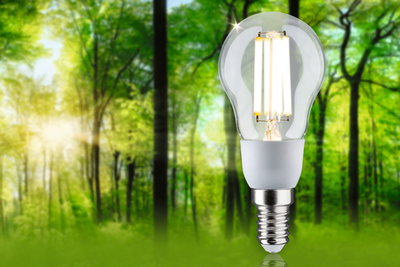 LED light bulb with clear glass and white base in front of green forest background for energy-saving lighting