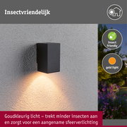 LED-wandlamp Flame insectvriendelijk IP44 hoekig 58x103mm 2200K 4W 265lm 230V 75° Antraciet Metaal