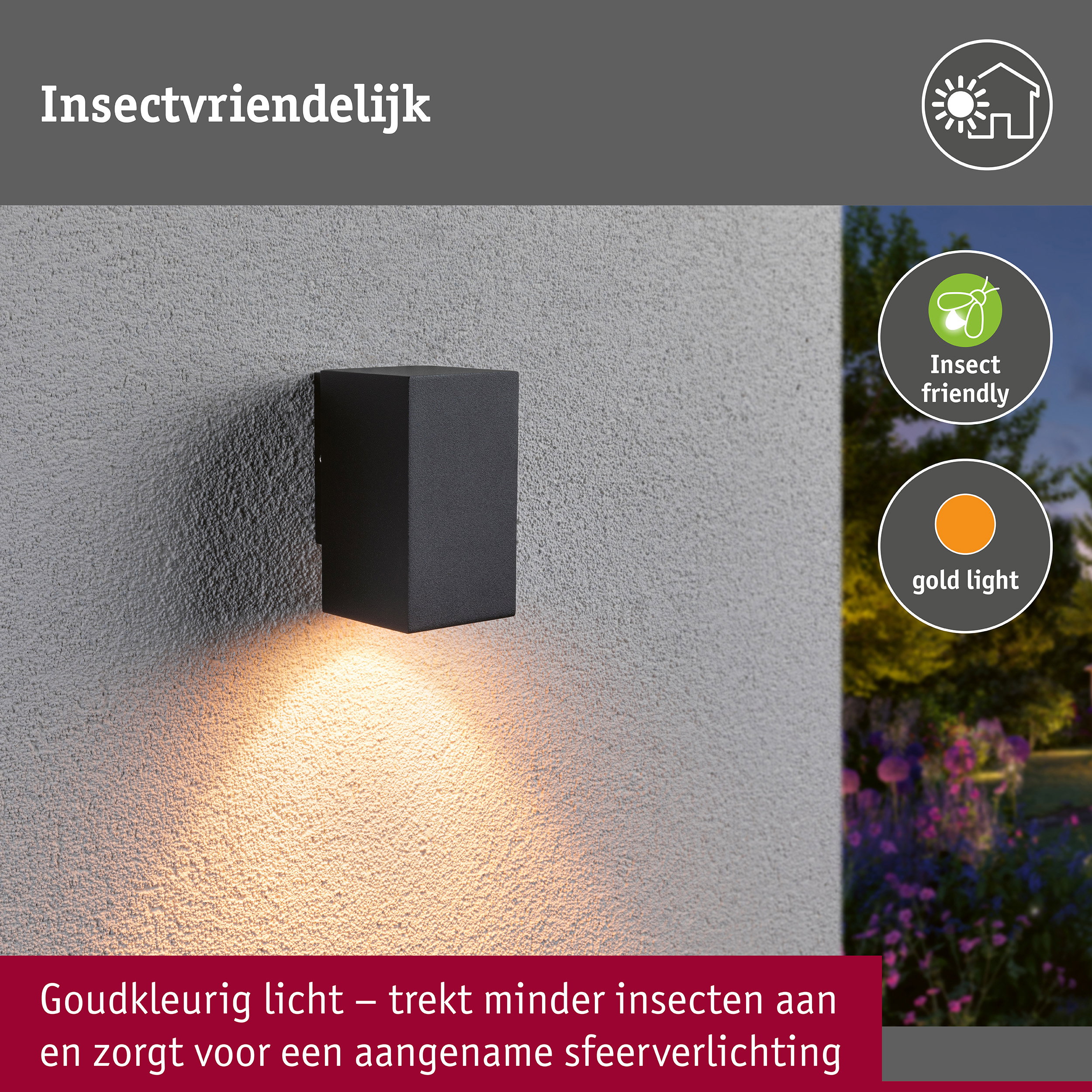 LED-wandlamp Flame insectvriendelijk IP44 hoekig 58x103mm 2200K 4W 265lm 230V 75° Antraciet Metaal
