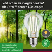 Klarer LED-Leuchtmittel mit warmweißem Licht und hoher Energieeffizienz vor grünem Waldhintergrund