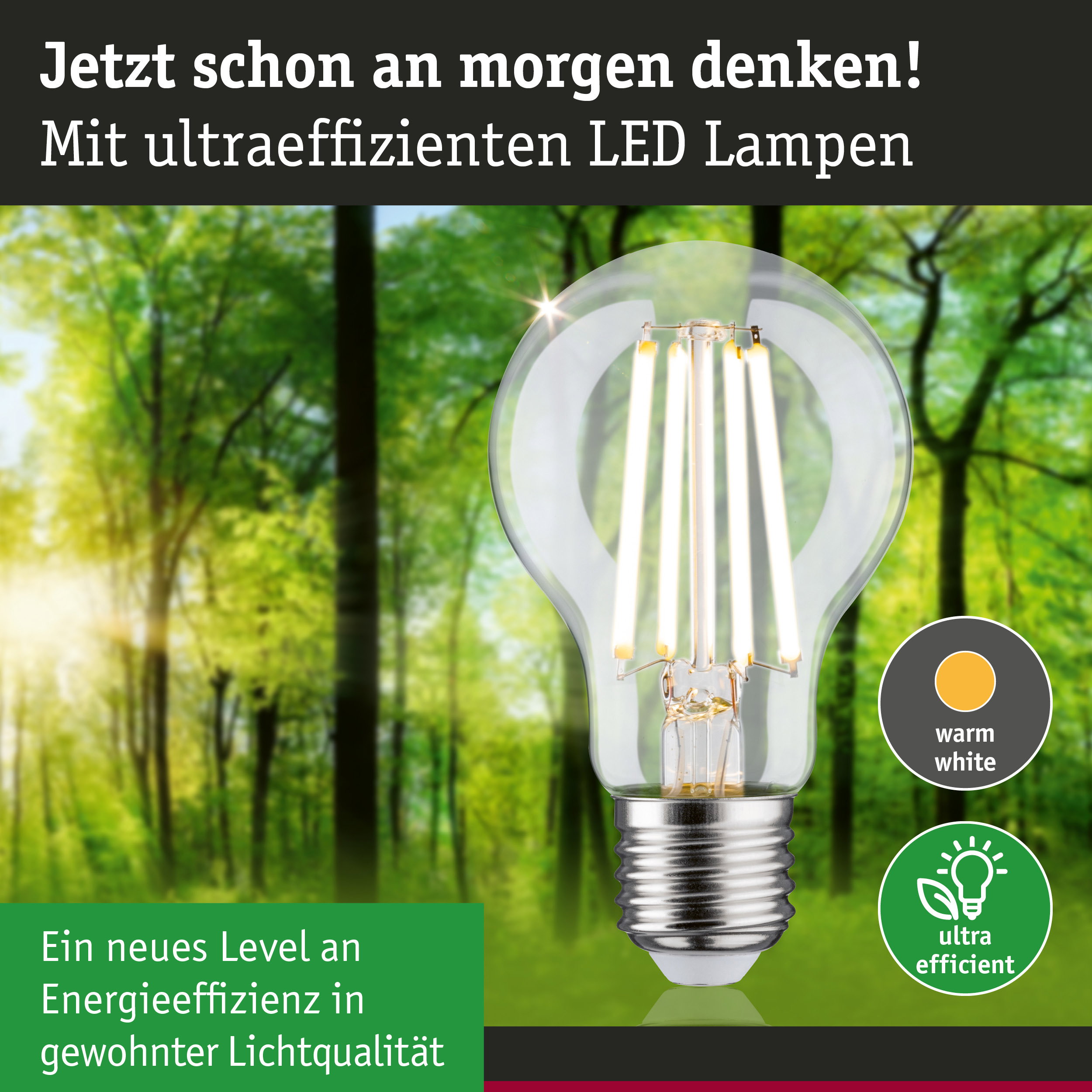 Klarer LED-Leuchtmittel mit warmweißem Licht und hoher Energieeffizienz vor grünem Waldhintergrund