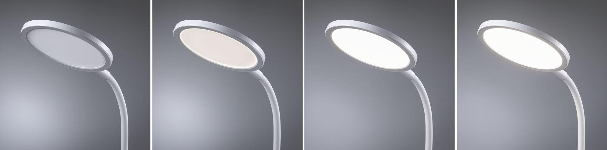 White LED desk lamp with flexible neck and adjustable brightness for office and home use