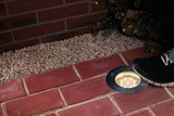Round LED recessed floor light with stainless steel frame on red pavement with black sneaker.