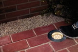 Round LED recessed floor light with stainless steel frame on red pavement with black sneaker.