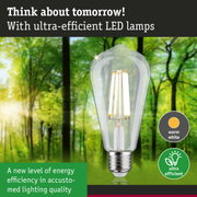 Clear LED bulb with warm white light and ultra-efficient energy use against green forest background