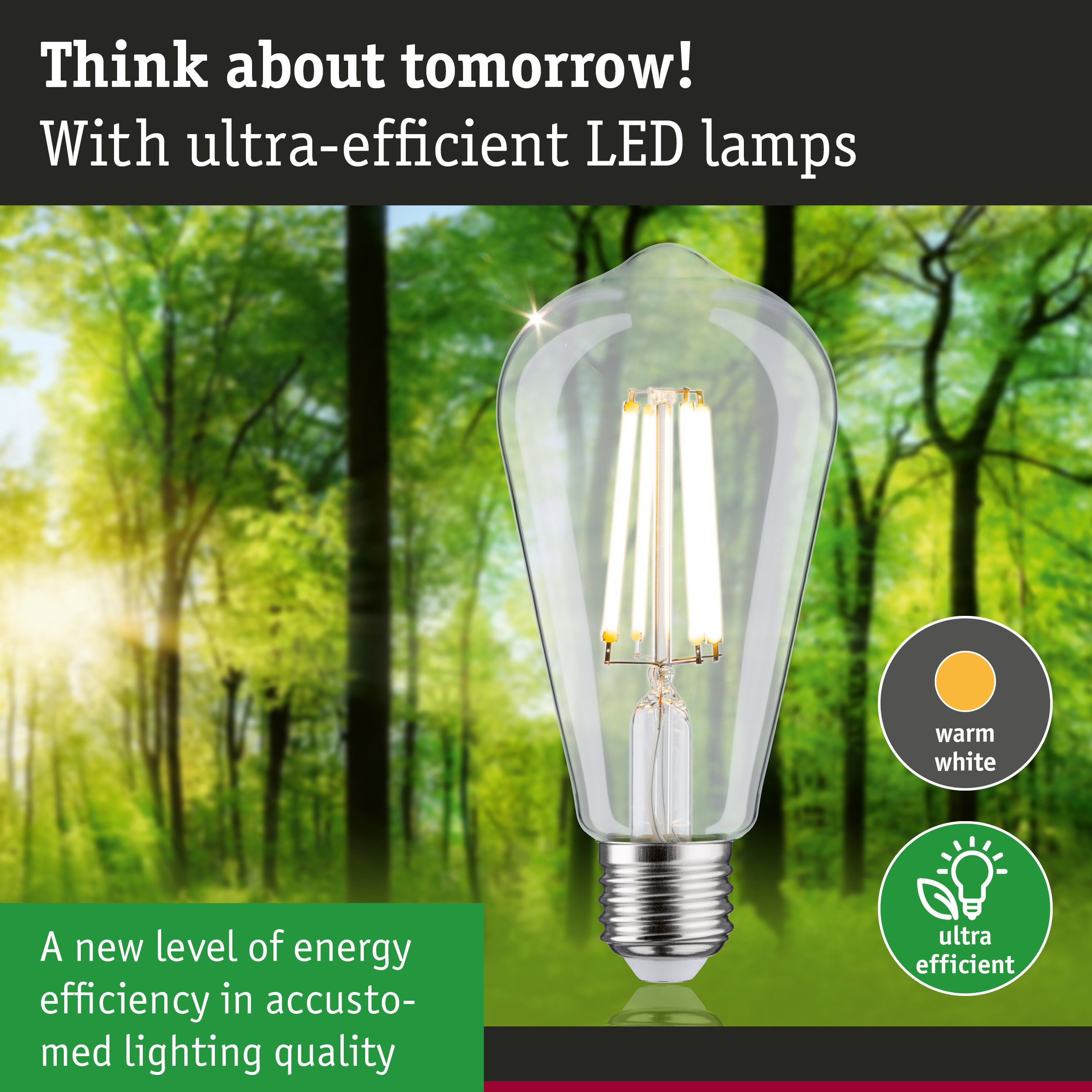 Clear LED bulb with warm white light and ultra-efficient energy use against green forest background