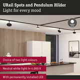 Modern URail Spots and Pendulum Hildor black LED ceiling lights with neutral white 4000K lighting