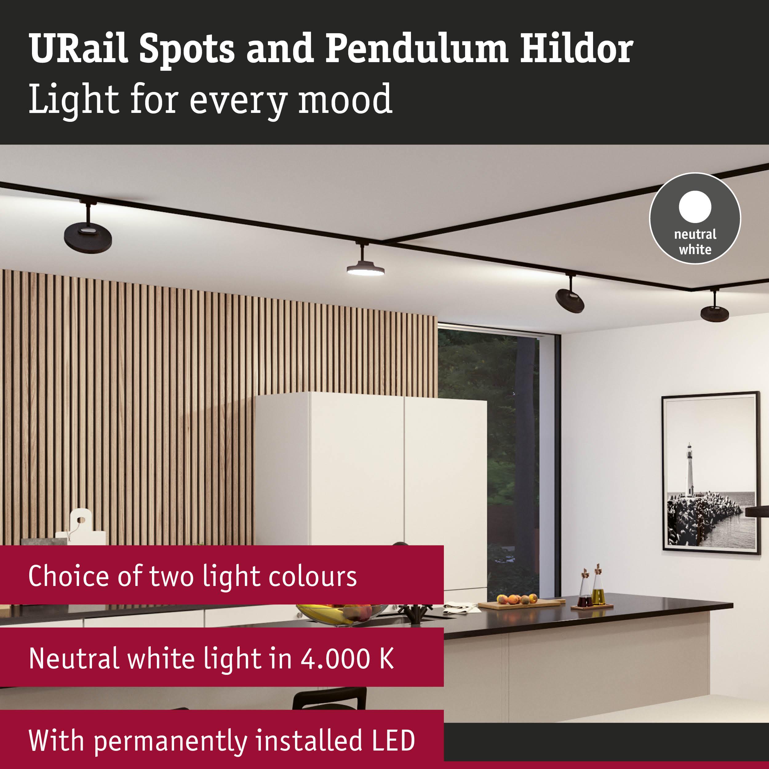 Modern URail Spots and Pendulum Hildor black LED ceiling lights with neutral white 4000K lighting