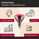 Red infrared lamp suitable for animal husbandry, terrariums, industrial heating, and food warming