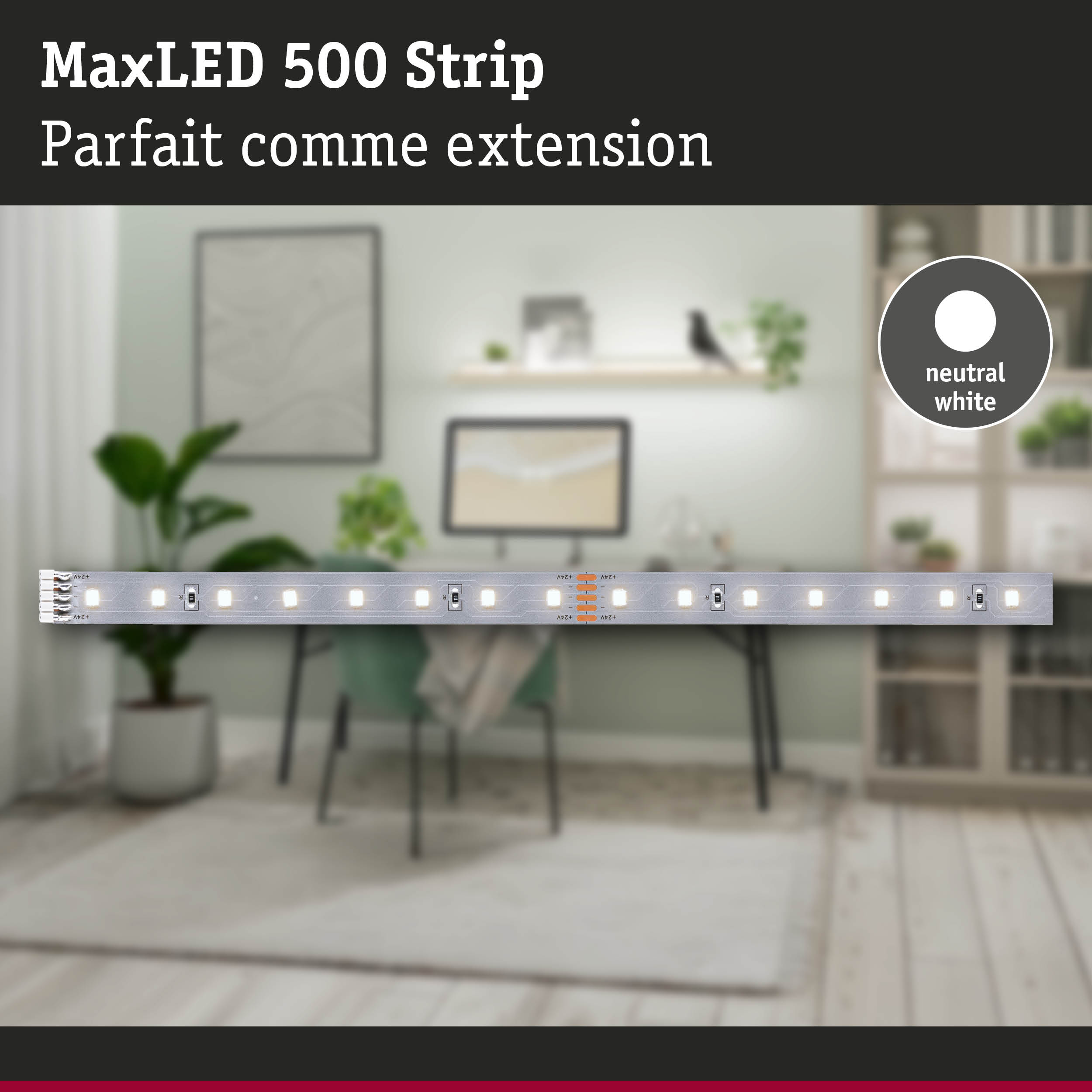 Bande LED MaxLED 500 en blanc neutre pour extension d'éclairage flexible à domicile