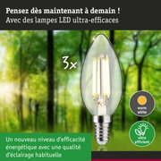 Ampoule LED en forme de bougie avec lumière blanc chaud et haute efficacité énergétique sur fond de forêt verte