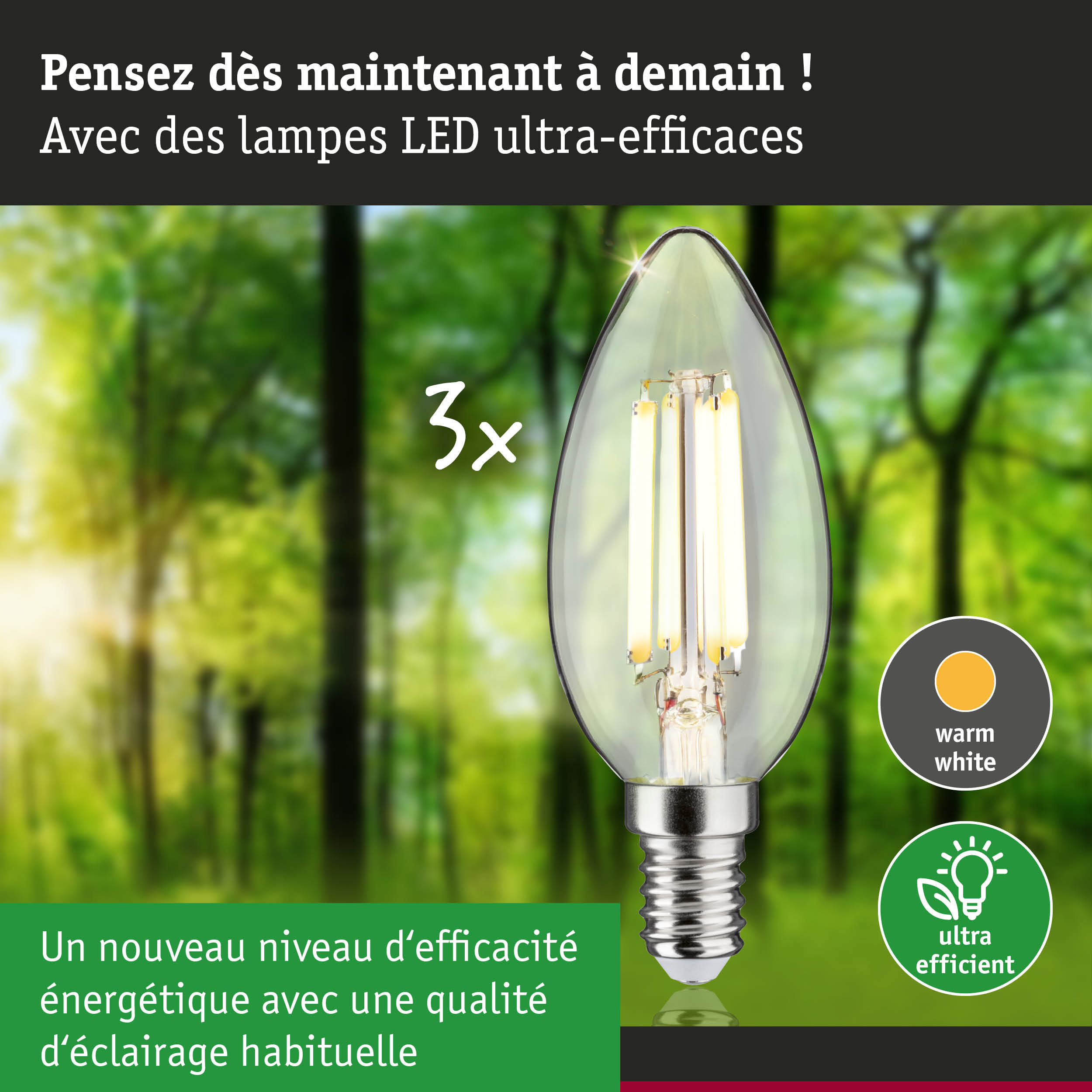 Ampoule LED en forme de bougie avec lumière blanc chaud et haute efficacité énergétique sur fond de forêt verte