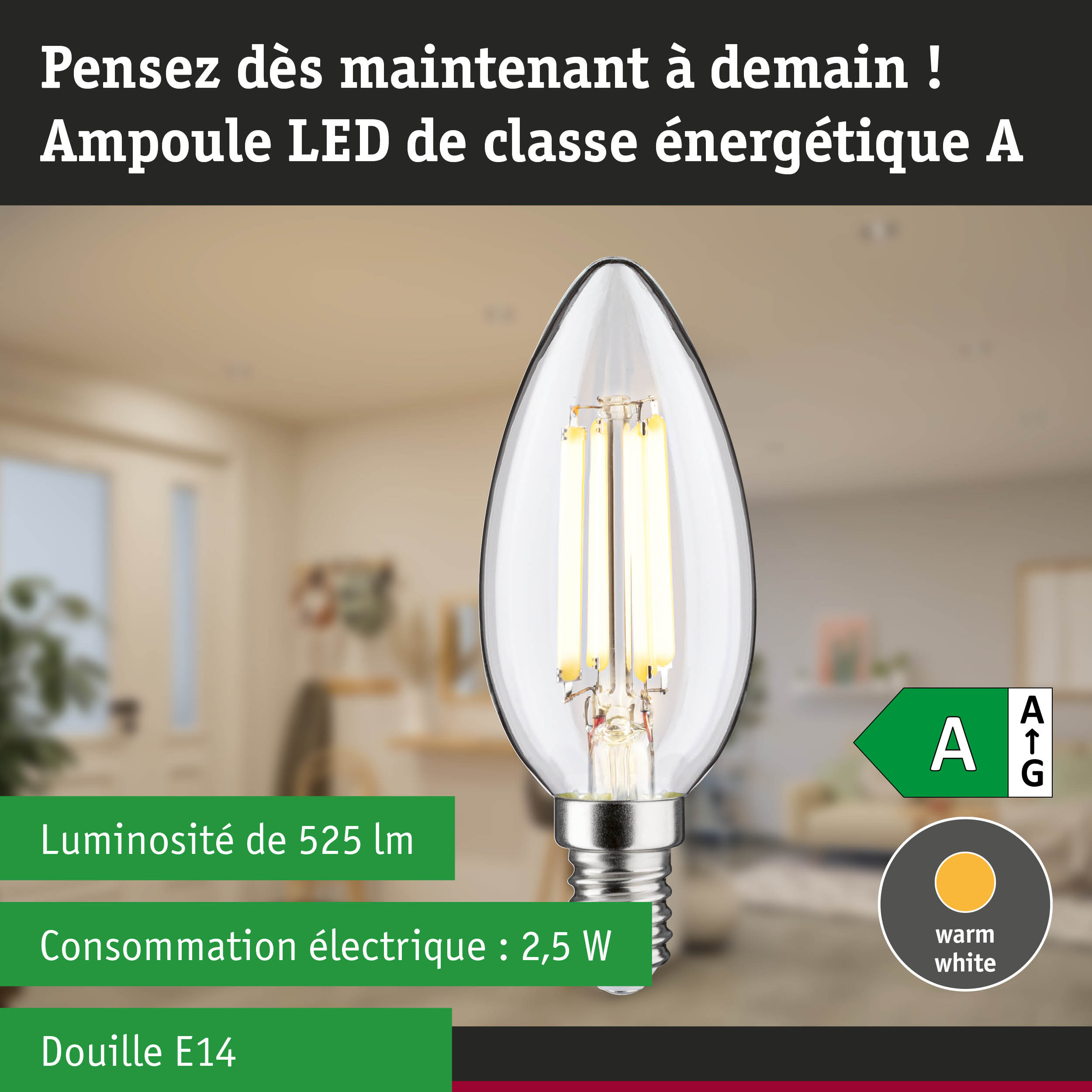 Ampoule LED en forme de bougie avec lumière blanc chaud et haute efficacité énergétique sur fond de forêt verte