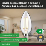 Ampoule LED en forme de bougie avec lumière blanc chaud et haute efficacité énergétique sur fond de forêt verte